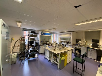 Laboratory for the synthesis of carbon nanomaterials