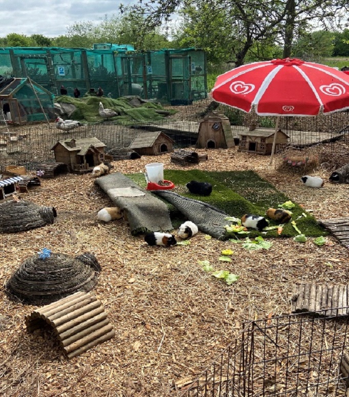 Photo of an animal enclosure at the Happy Pants Ranch