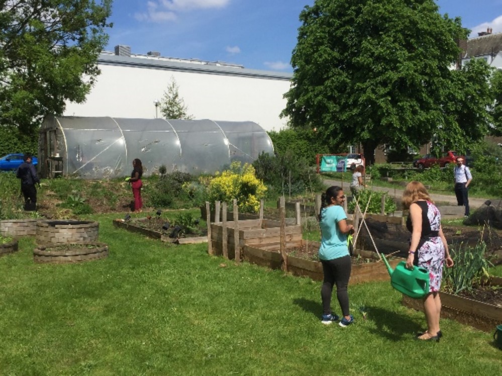 Edible Garden at Avery Hill campus 